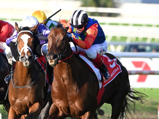 Bella Nipotina mows down I Wish I Win to win the Group 1 Doomben 10,000 for jockey Craig Williams. Picture. Grant Peters - Trackside Photography