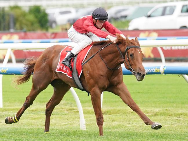 Palm Angel ridden by Ethan Brown wins the Henley Homes Merson Cooper Stakes at Caulfield Racecourse on November 30, 2024 in Caulfield, Australia. (Photo by Scott Barbour/Racing Photos via Getty Images)