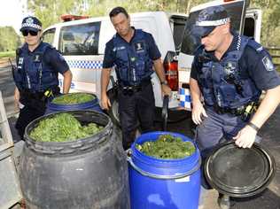 Police uncovered a massive amount of cannabis on a property on Wattle Road in Coominya on Friday. Photo: Rob Williams / The Queensland Times. Picture: Rob Williams