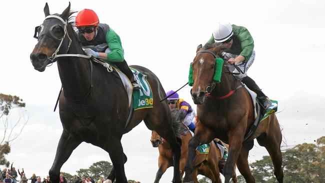 London Fog racing at Geelong in 2016. Picture: Getty Images