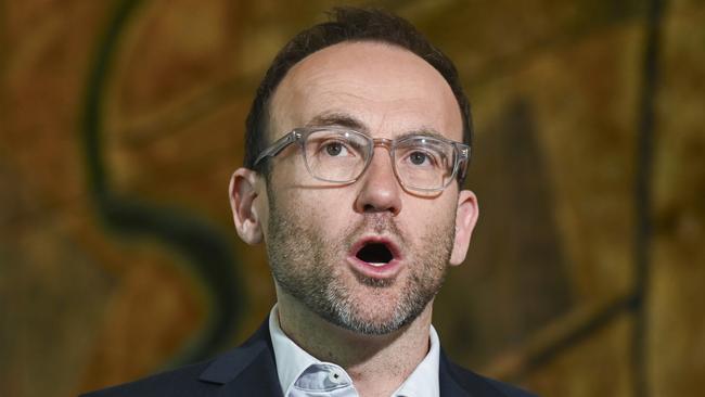 Adam Bandt said the government should call for an immediate ceasefire. Picture: NCA NewsWire/Martin Ollman