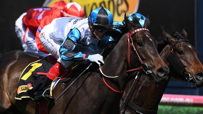 Jockey Craig Williams and Amphitrite take out the Thousand Guineas.