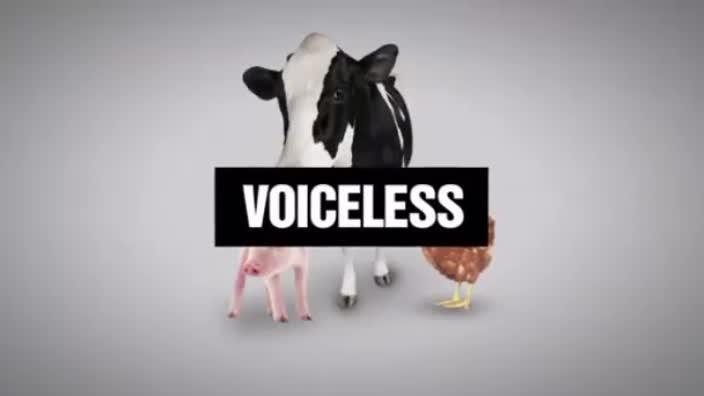 Voiceless's call to compassion