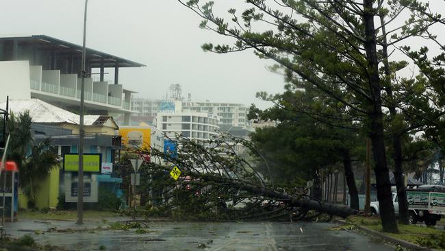 Destruction: An uprooted trees block the road after Tropical Cyclone Marcia hit the coastal town of Yeppoon in north Queensland.