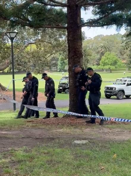 Officers searched the park for evidence.