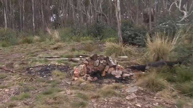 A campsite near Arbuckle junction where Greg Lynn was captured by police. Picture: Nine News