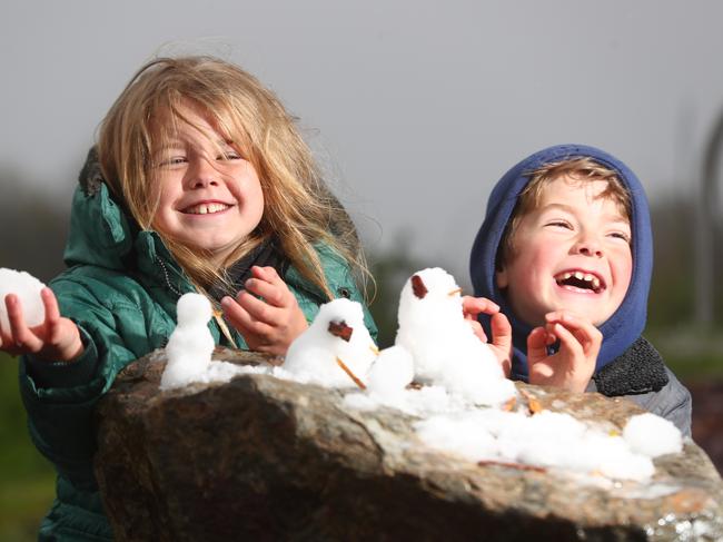 Grace and Asher Vanderbom,9 and 7 of Littlehampton at Mt Lofty hoping for snow.( dad tim 0435 996 963) on the 25th September 2020. Pic Tait Schmaal.