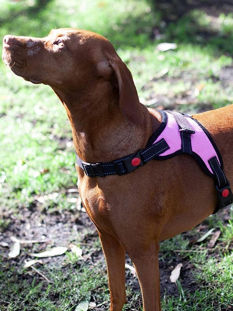 Zenify Pets Dog Harness. Image: Amazon.
