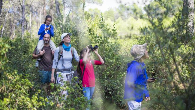 Bushwalking is not only free and easy, it allows for family bonding while exploring new surroundings. Picture: iStock