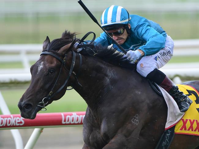 Fukubana wins at Doomben and gives a glimpse of his enormous potential. Picture: Natasha Wood, Trackside Photography.