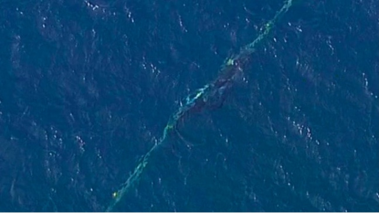 An aerial view of the tangled whale. A view like this is what alerted authorities in the first place.