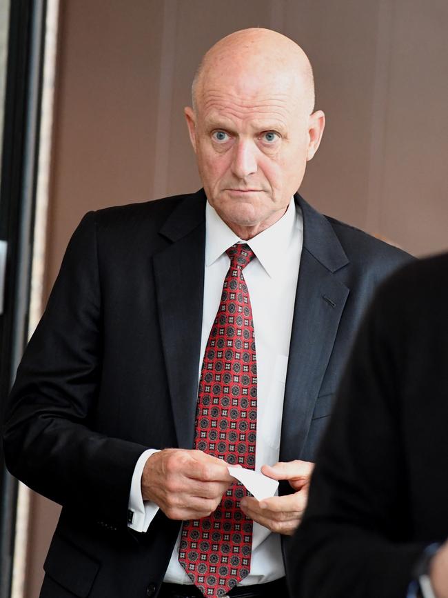 Justice Richard White concluded that Mr Leyonhjelm, above, had no available defences for defaming Senator Hanson-Young. Picture: AAP / Peter Rae