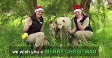 AU VIC:    Zoo Animal and Keepers Spread Christmas Cheer in Adorable Family Videos   December 15