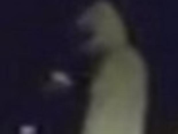 Mystery of the creepy hooded man