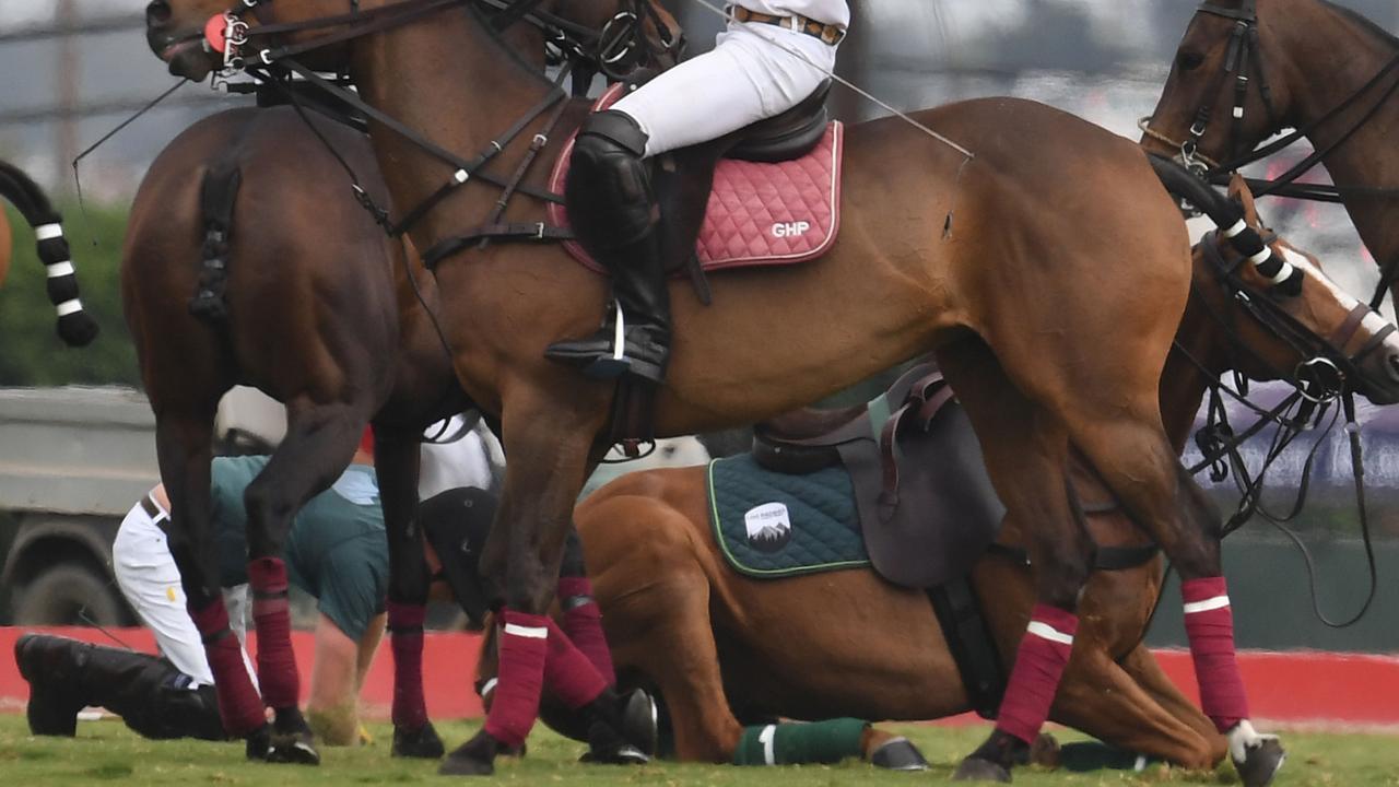 Prince Harry falls off horse during polo match