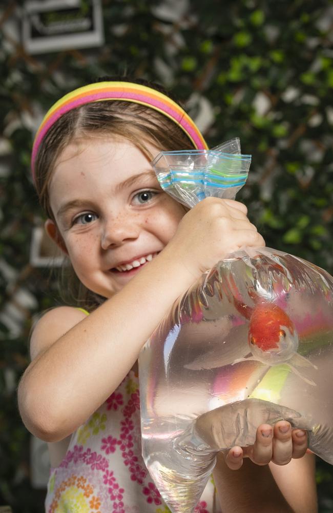 Madison Patch gets ready for her family's Australia Day goldfish race and auction raising funds for the Children's Hospital Foundation in memory of her sister, Sophie Grace, Tuesday, January 23, 2024. Picture: Kevin Farmer