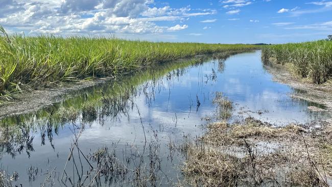 Some local roads are still closed following recording flooding in NSW and Queensland this month.