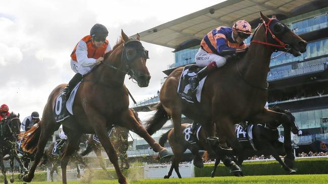 Brutality (right) is trying to become the first horse in over 100 years to win the Villiers-Doncaster double. Picture: Getty Images