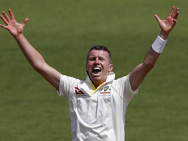 SOUTHAMPTON, ENGLAND - JULY 25: Peter Siddle of Brad Haddin XII appeals for a wicket  during day three of the Australian Cricket Team Ashes Tour match between Brad Haddin XII and Graeme Hick XII at The Ageas Bowl on July 25, 2019 in Southampton, England. (Photo by Ryan Pierse/Getty Images)