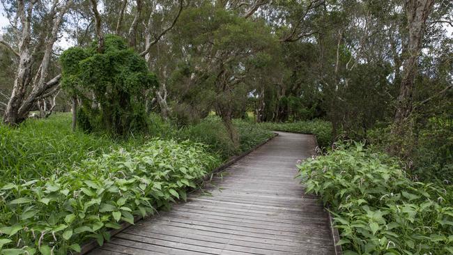 Eagleby Wetlands. AAP/Renae Droop