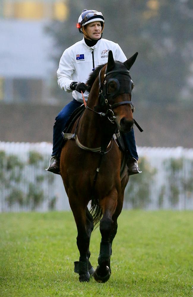 Winx will be chasing her 11th straight win on Saturday at Randwick. Picture: Mark Evans