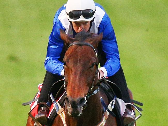 MELBOURNE, AUSTRALIA - OCTOBER 23:  Hugh Bowman rides Winx during Breakfast with the Best at Moonee Valley Racecourse on October 23, 2018 in Melbourne, Australia.  (Photo by Michael Dodge/Getty Images)