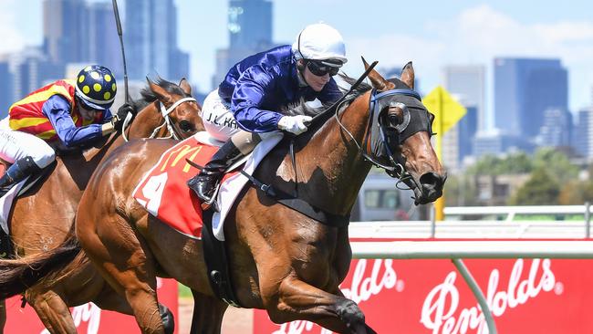 The Map, ridden by Jamie Melham, wins The Macca's Run at Flemington in 2023. Picture: Pat Scala/Racing Photos via Getty Images