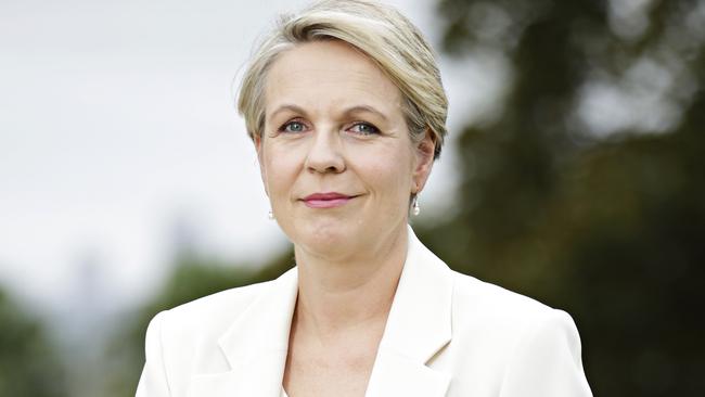 Opposition education spokeswoman Tanya Plibersek was among the female Labor MPs who expressed concern about the alleged incidents. Picture: Adam Yip