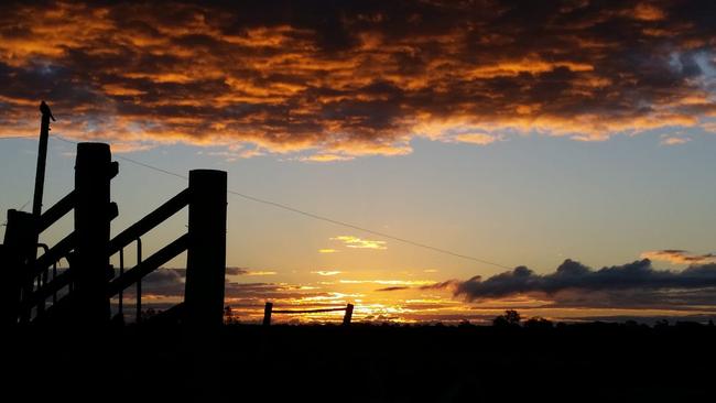 Michele Giffin's photo of a Lawrence sunset on her farm won this week's Cover Image competition.