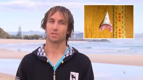 Shark attack hero Jade Parker speaks of the moment he paddled out to help save victim Nick Slater. Photo: Sunrise