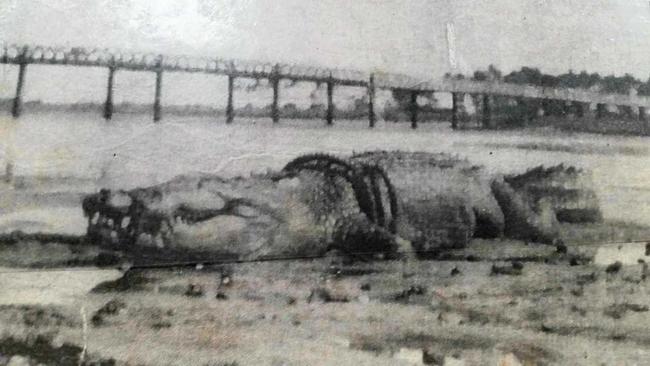 Does this historic photograph show the monster 9.7m (32 foot) crocodile reportedly shot from the Riverview Hotel (later the Leichhardt) in Mackay on an unknown date? The jury's still out. Picture: Aaron Weston/Facebook