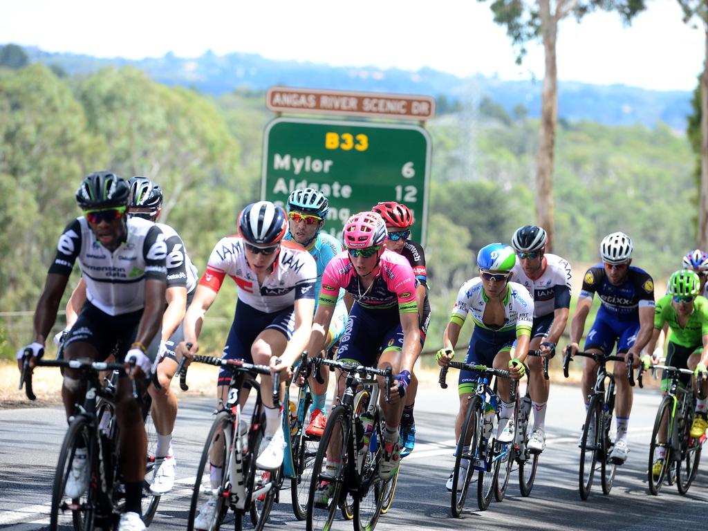 Riders in action. Photo: Tom Huntley.