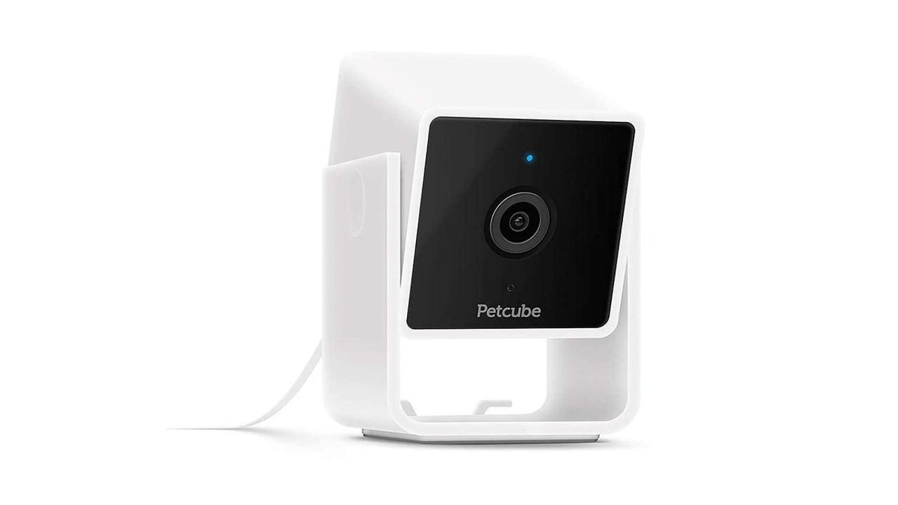 petbarn petcube