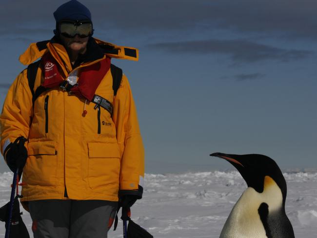 This penguin needs time to think over the proposal.