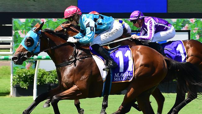 Queen Of Wizardry secured her spot in the Magic Millions with an upset win. Picture: Trackside Photography