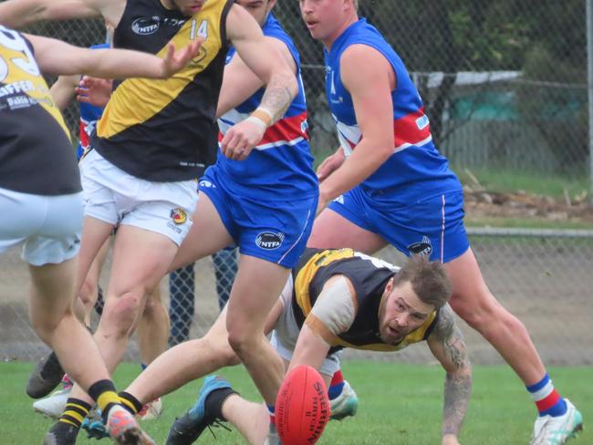 Longford skipper Kacey Curtis hunts the ball at the bottom of a pack. Picture: Jon Tuxworth