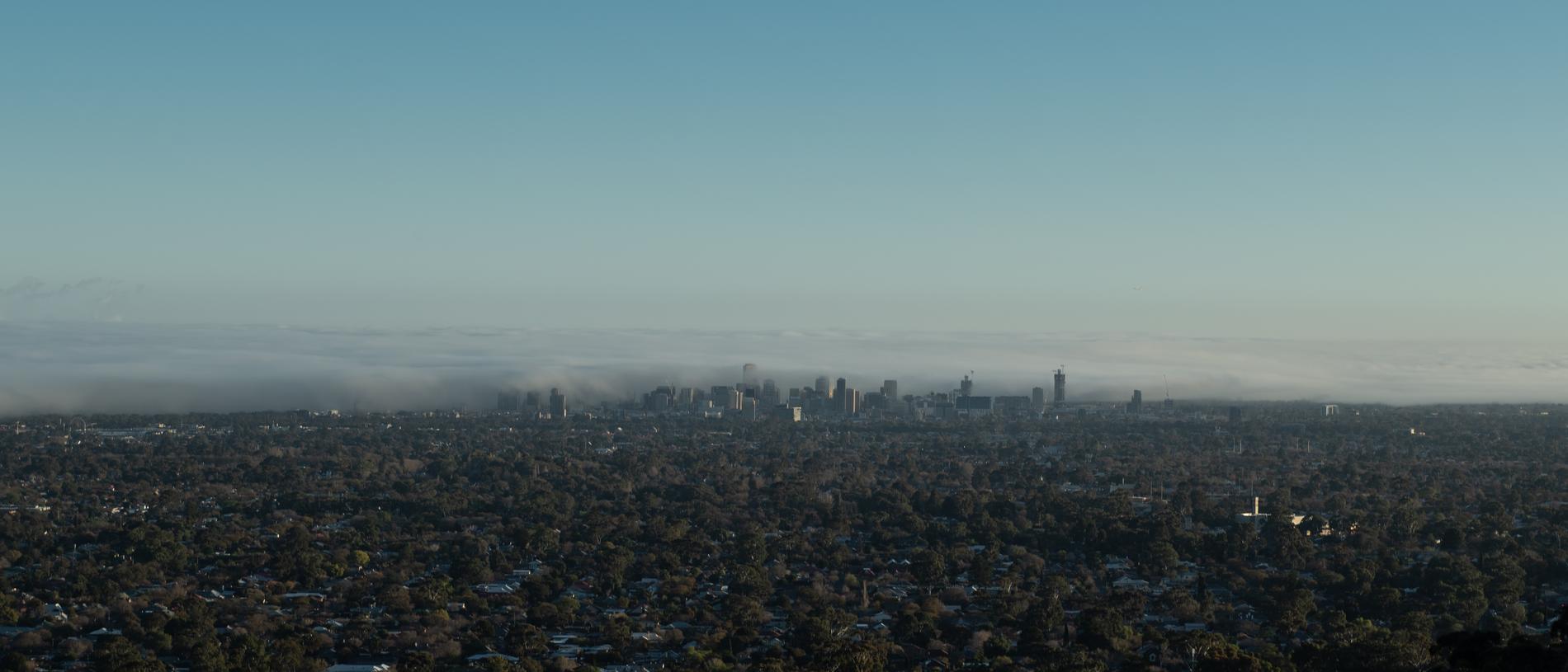 Fog drifts over the Adelaide CBD: Picture: Brad Fleet