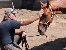 **ID CONFIRMED BY CAMPBELL GELLIE** 66-year-old Greg Douglas, a farm manager has been charged with sexually assaulting a teenage German tourist who was at his property on a farm stay visa programme. Picture: FacebookSOURCE: https://www.facebook.com/profile.php?id=100012823338142&lst=648785554%3A100012823338142%3A1571799715&sk=photos