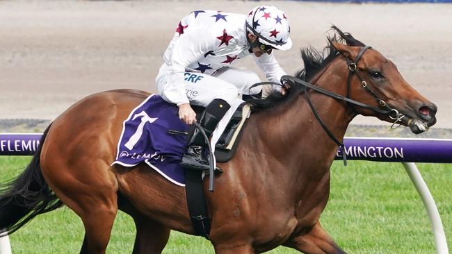 Sunlight will step up to 1500m for the first time in the Golden Eagle. Picture: AAP