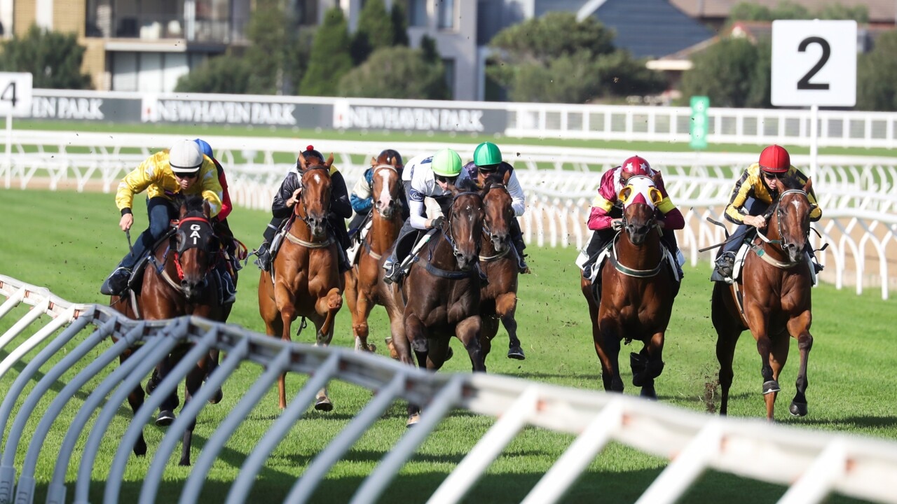 World's longest LED screen on a racecourse installed at Randwick and Rosehill Gardens