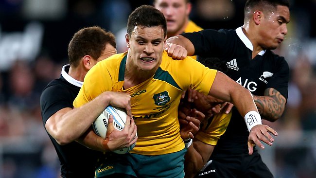 10 things we learned about the Wallabies after Bledisloe Cup loss to ...