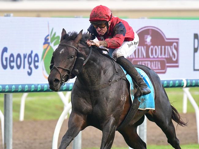 Young colt Bosustow wins the Gold Coast Guineas in honour of late Australian Rules footballer Peter Bosustow and surges into Group 1 Stradbroke Handicap contention. Picture: Bethany Allday, Trackside Photography.