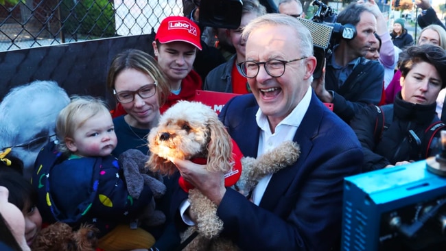 Who's a good boy? Picture: Getty