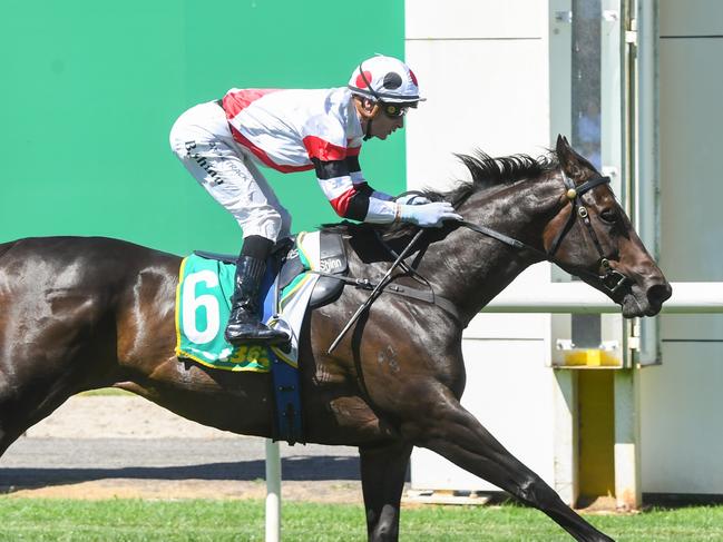 New York Lustre ridden by Blake Shinn wins the Seymour IGA + Liquor BM58 Handicap at Seymour Racecourse on December 29, 2024 in Seymour, Australia. (Photo by Brett Holburt/Racing Photos via Getty Images)