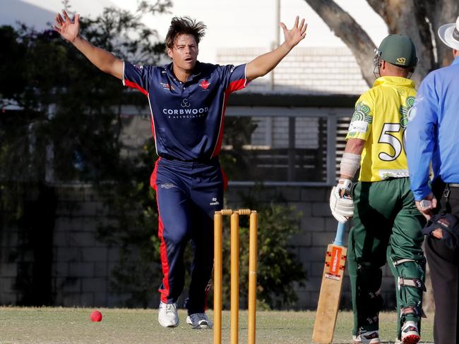 Brad Munro of Mudgeeraba appeals against Queens in the Gold Coast Cricket Premier First Grade round four competition played at the Greg Chaplin Oval, Southport, Gold Coast, October 22 2023. Photo: Regi Varghese