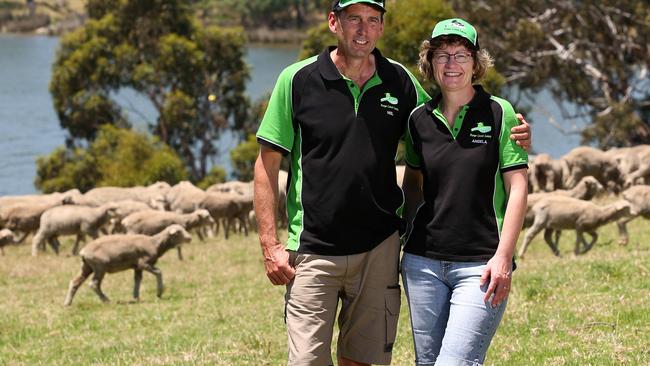 For Focus: Neil and Angela Stringer from Forge Creek Lamb Picture: ANDY ROGERS