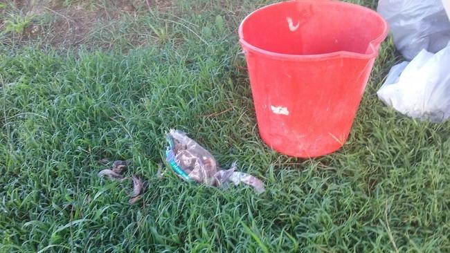 A photo of rubbish left behind by fishers at Sawmillers Reserve.