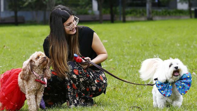 Kimberley Di Paola with Indie and Cha-Cha getting ready for the Dogs Day out festival on Chippendale Green. Picture: John Appleyard