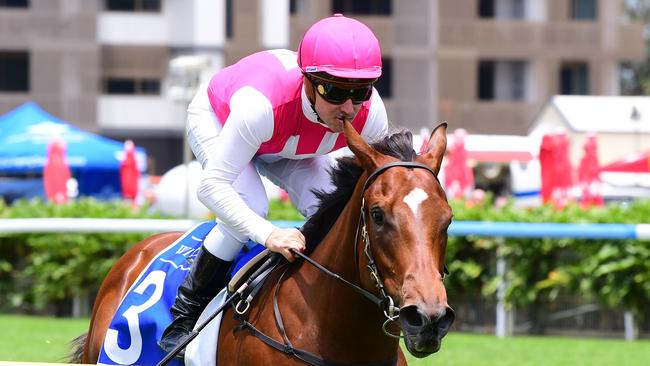 Tony Gollan's Gold Coast Magic Millions filly Skirt The Law won’t race this Saturday. Picture: Grant Peters–Trackside Photography.