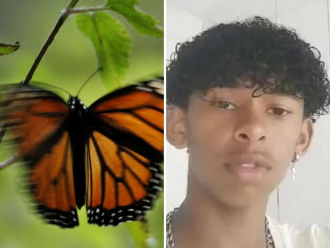 Teen dies after bizarre butterfly injection. Picture: Supplied